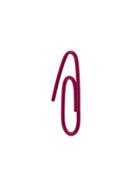 Biis Staple Shaped Earrings - Pink & Purple