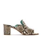 Blue Bird Shoes Python Skin Mules - Brown