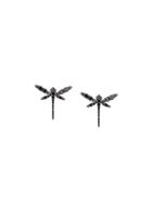 Anapsara Mini Dragonfly Earrings - Black