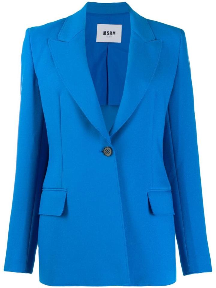 Msgm Single-breasted Blazer - Blue