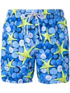 Mc2 Saint Barth - Starfish Print Swim Shorts - Men - Polyamide/polyester/spandex/elastane - M, Blue, Polyamide/polyester/spandex/elastane