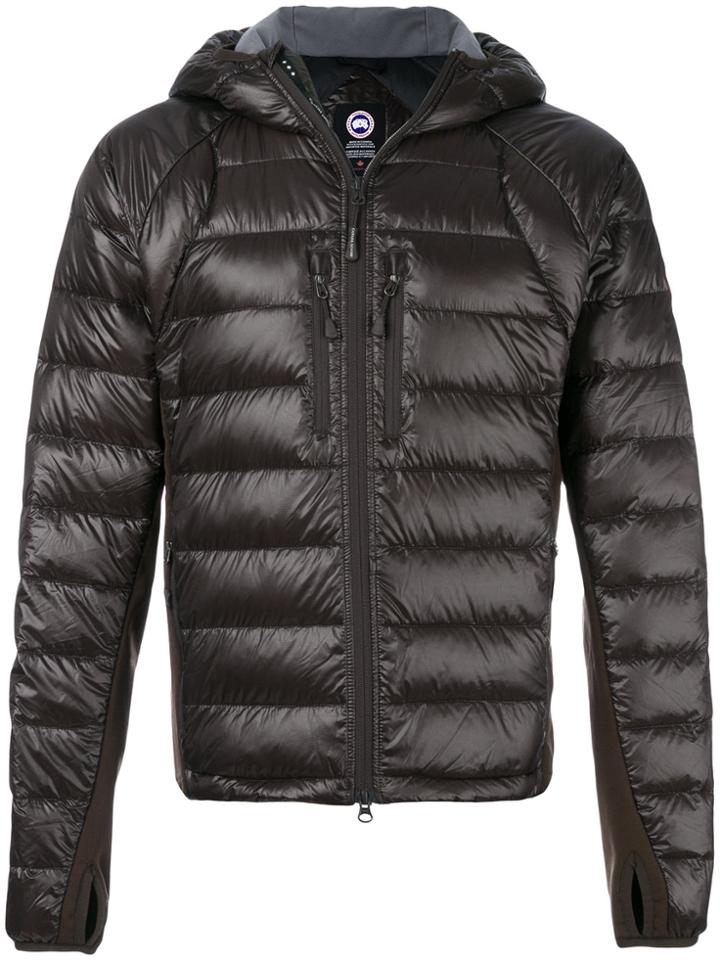 Canada Goose Padded Hooded Jacket - Brown