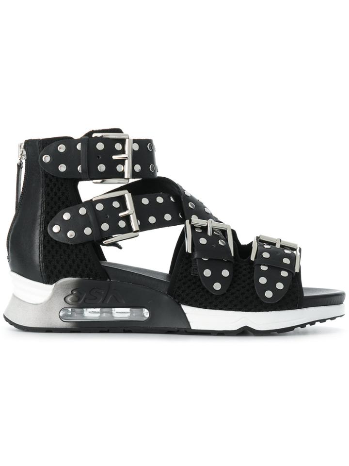Ash Studded Flat Sandals - Black