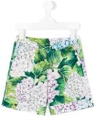 Dolce & Gabbana Kids - Hydrangea Print Shorts - Kids - Cotton - 5 Yrs, Green