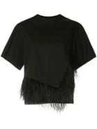 Le Ciel Bleu Feather-embellished Asymmetric Top - Black