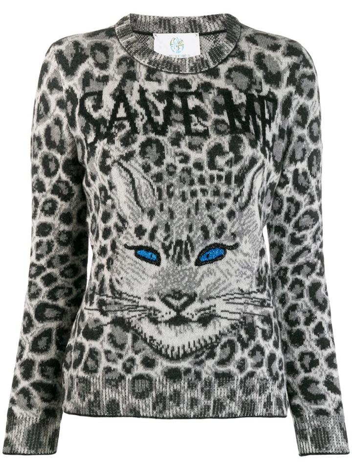 Alberta Ferretti Cat Print Jumper - Grey