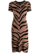 Steffen Schraut Wild Midi Dress - Brown