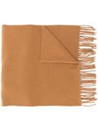 Isabel Marant Zalinea Long Scarf - Brown