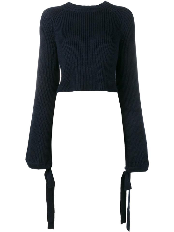 Ellery Cropped Ribbed Jumper - Blue