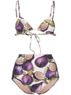 Adriana Degreas Fig Print High Waist Bottom Bikini - Purple