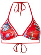 Dsquared2 Palm Tree Print Bikini Top