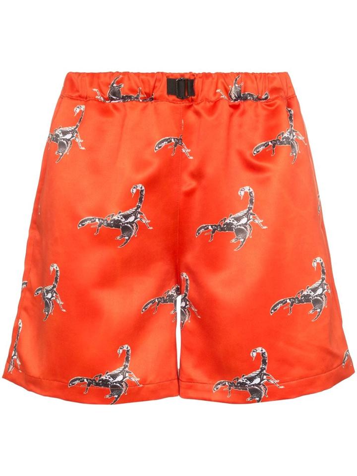 Services Unknown X Browns East Stadium Goods Scorpion Print Shorts -