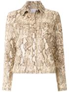 Nk - Neutrals
