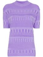 Cap Turtle Neck Jumper - Purple