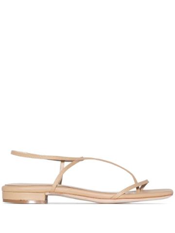 Studio Amelia - Neutrals