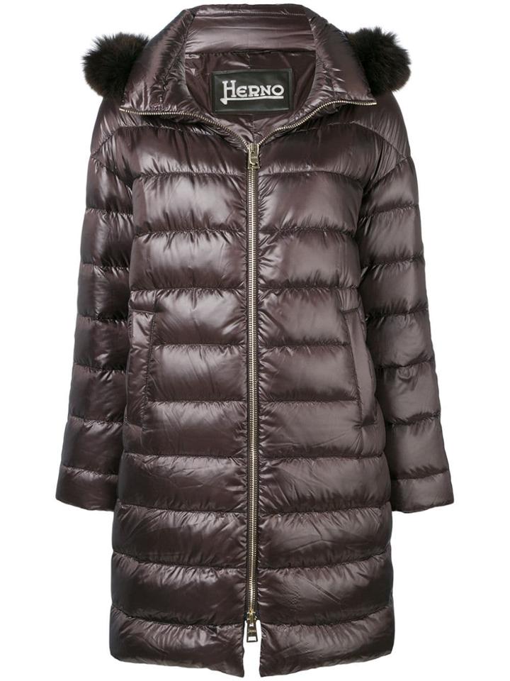 Herno Fur Trim Padded Coat - Brown