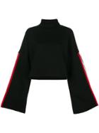 Msgm Logo Stripe Cropped Sweater - Black