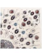 Alexander Mcqueen Ivory Lost At Sea Print Wool Blend Scarf - Neutrals