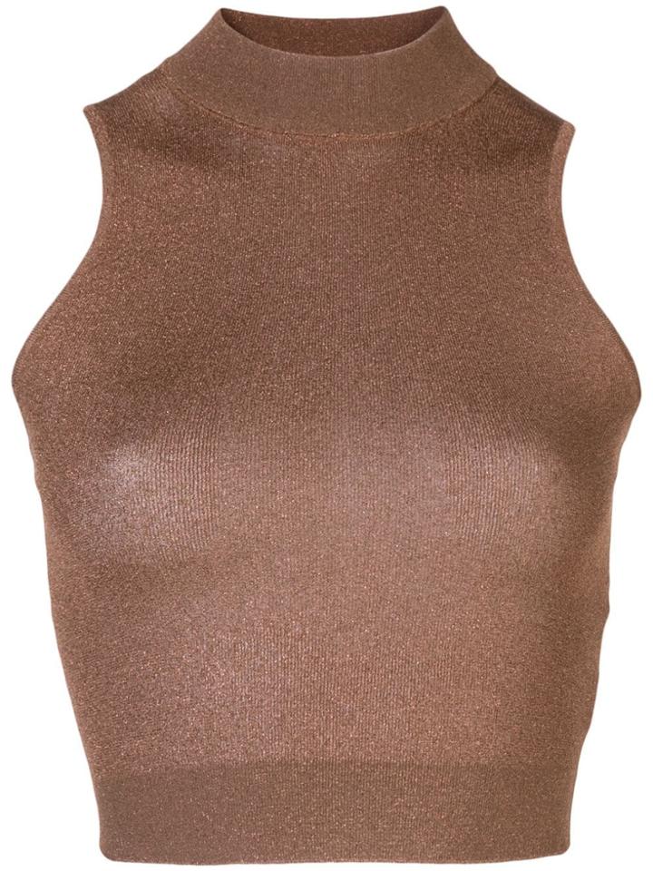 Brunello Cucinelli Glitter Effect Cropped Top - Brown
