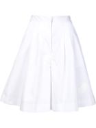 Xiao Li Pleated A-line Skirt