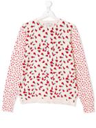 Stella Mccartney Kids Teen Ladybird Print Sweater - White