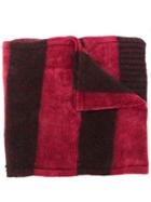 Faliero Sarti Long Striped Scarf - Red