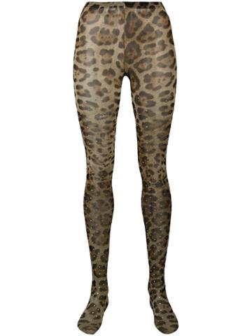 Dolce & Gabbana Leopard Tights - Neutrals
