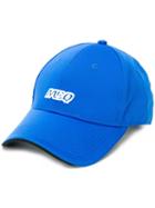 Mcq Alexander Mcqueen Logo Baseball Cap - Blue