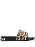 Dolce & Gabbana Leopard Print Slides - Brown