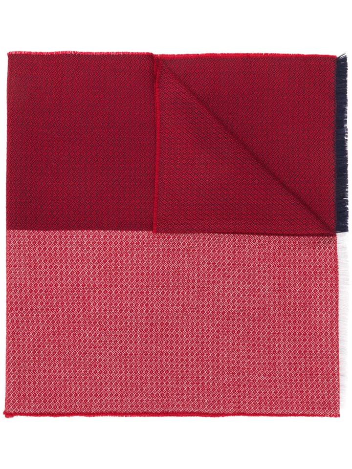 Borrelli Fringed Micro-print Scarf - Red