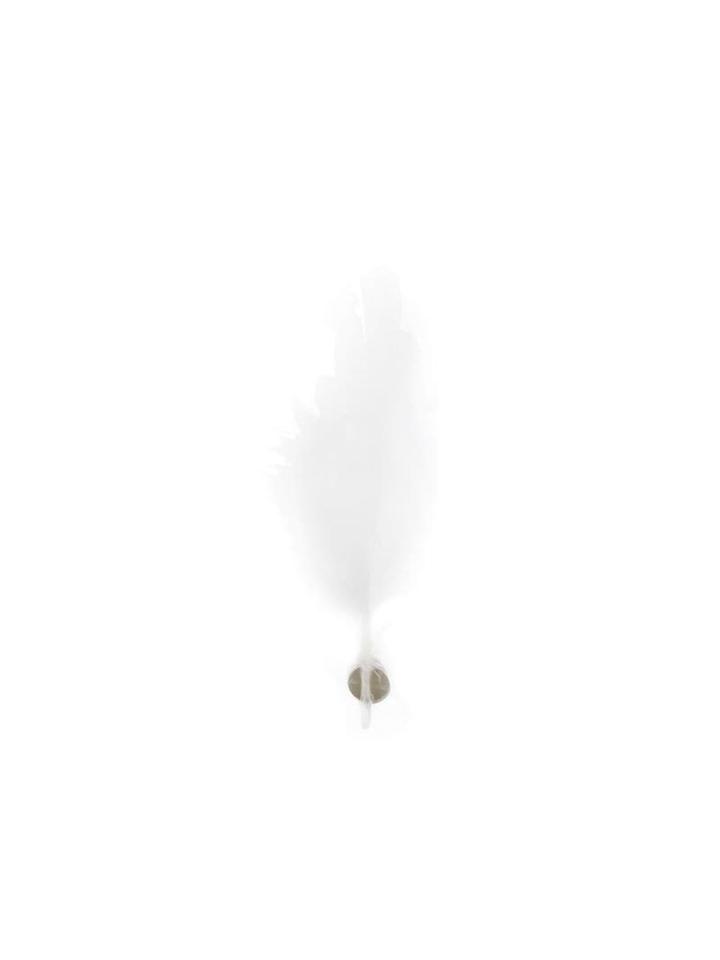 Ann Demeulemeester Quill Brooch - White