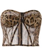 Dolce & Gabbana Leopard-print Sheer Bustier - Brown