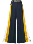 Peter Pilotto Side-stripe Flared Trousers - Blue