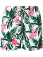 Mc2 Saint Barth Flamingos Print Swim Shorts - Multicolour