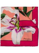 Dolce & Gabbana Lily Print Foulard - Pink