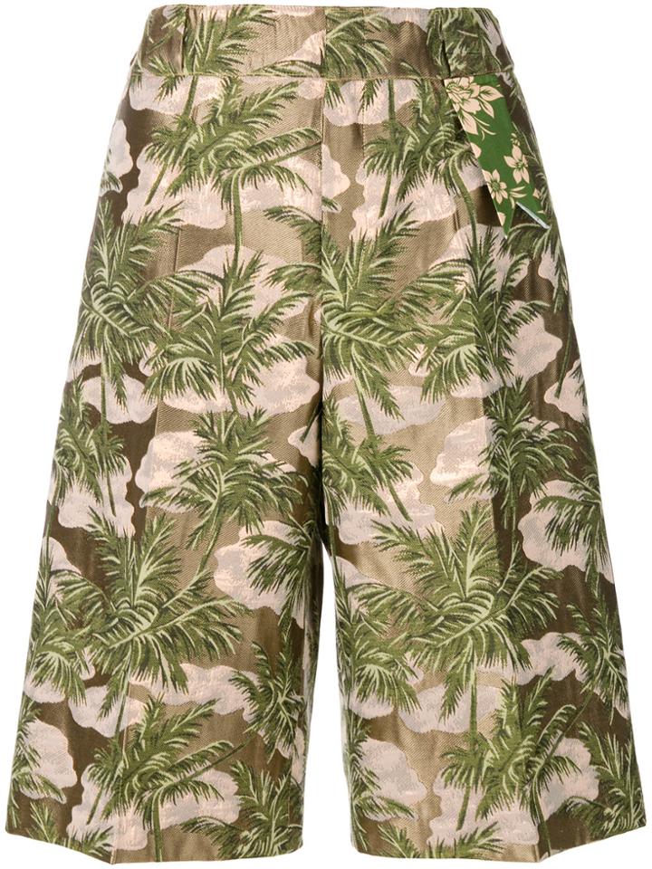 The Gigi Sofia Bermuda Shorts - Green