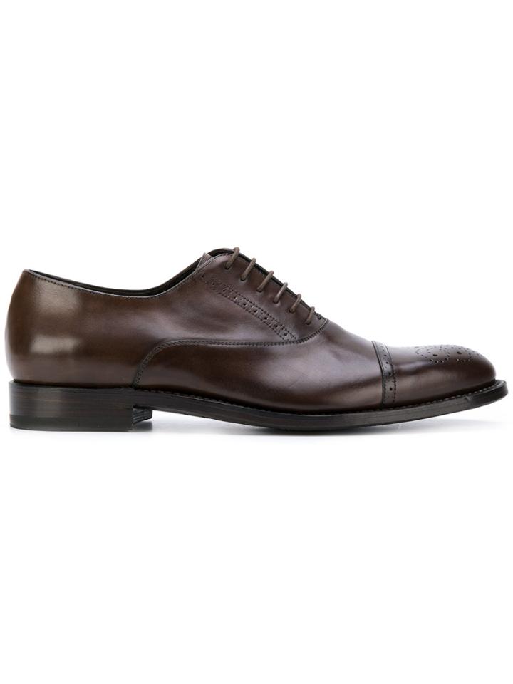 Canali Oxford Shoes - Brown