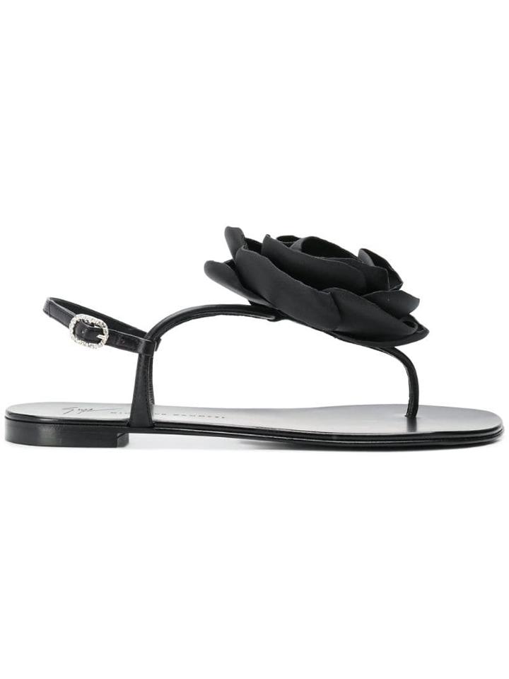 Giuseppe Zanotti Flower Flat Sandals - Black