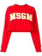 Msgm Logo Applique Cropped Sweatshirt - Yellow & Orange