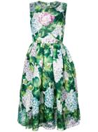 Dolce & Gabbana Hydrangea Print Flared Dress - Green