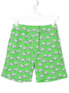 Au Jour Le Jour Kids Rhinoceros Shorts, Boy's, Size: 14 Yrs, Green