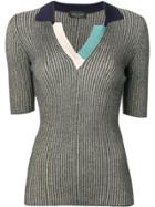 Roberto Collina Ribbed Colourblock Polo Top - Blue