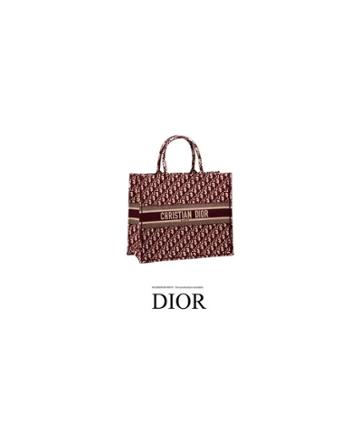 Fashion Concierge Vip Dior Book Tote - Unavailable