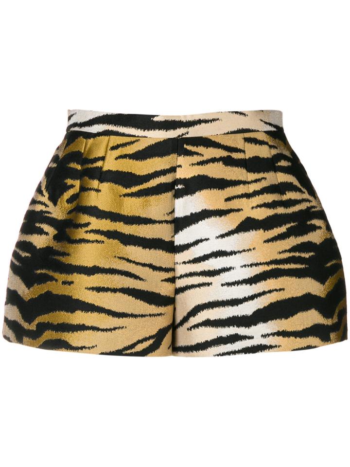 Red Valentino Tiger Printed Shorts - Black