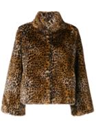 Twin-set Leopard Print Fur Jacket - Brown
