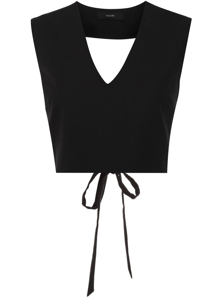 Ellery V-neck Crop Top