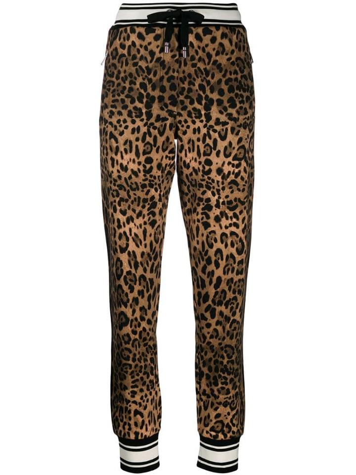 Dolce & Gabbana Dolce & Gabbana - Woman - Jogging Leo - Brown