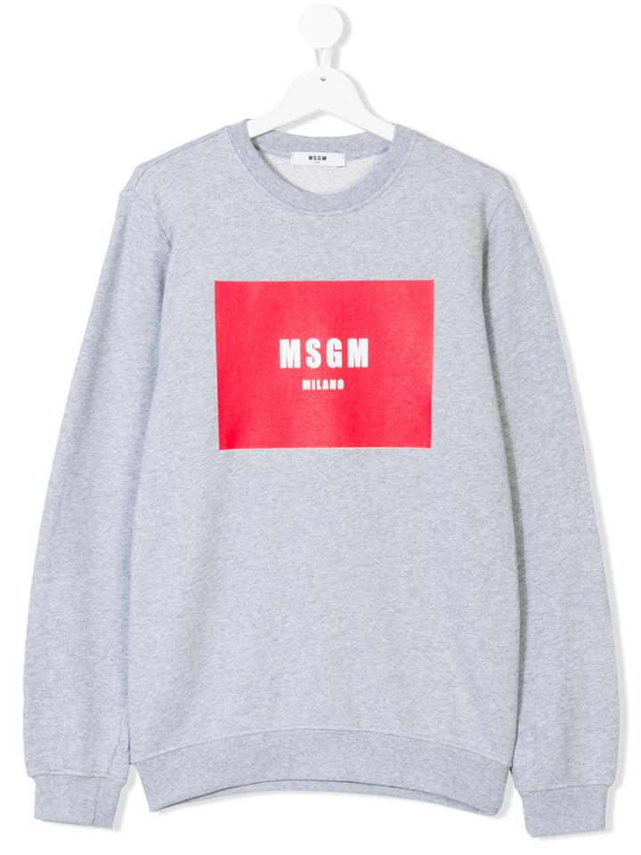 Msgm Kids Logo Print Sweatshirt - Grey