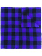 Daniela Gregis Cashmere Checked Scarf - Blue