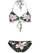 Dolce & Gabbana Lily Print Ring-detail Bikini - Black